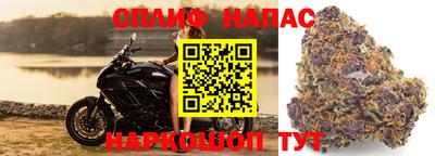 скорость Будённовск