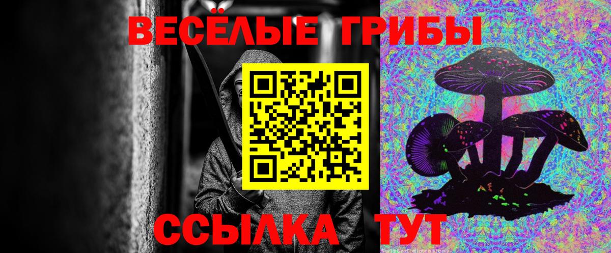 Псилоцибиновые грибы ЛСД Североморск