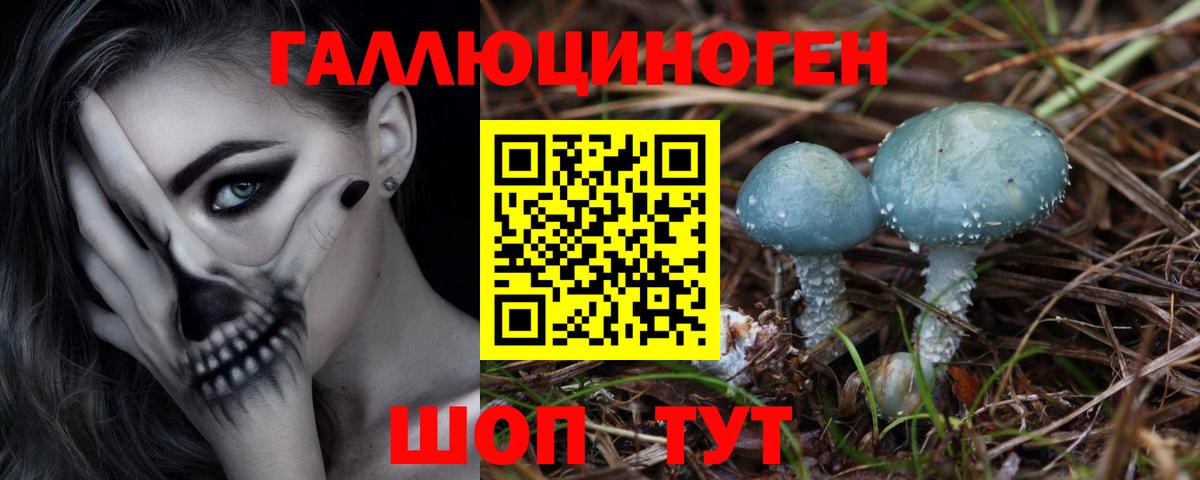 Псилоцибиновые грибы GOLDEN TEACHER  Вход с VPN  Галлюциногенные грибы Cubensis  Североморск 